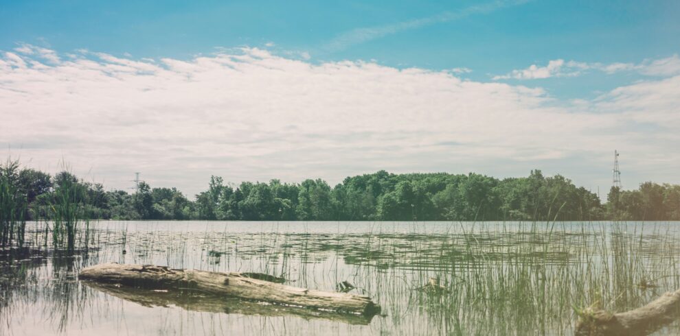 scott-webb-xIesWDTuig8-unsplash
